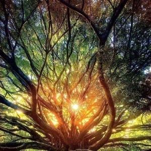 Meet your Posher, Magda